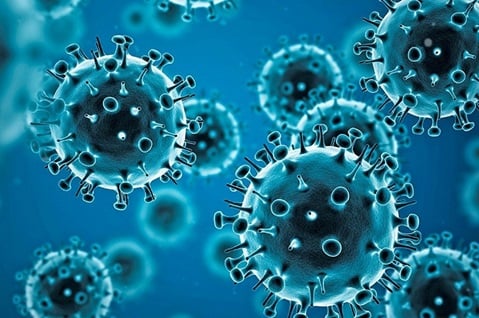 Humla records coronavirus case in eight months