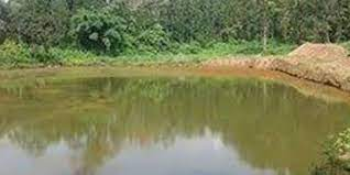 Ponds created to facilitate drinking water for wildlife