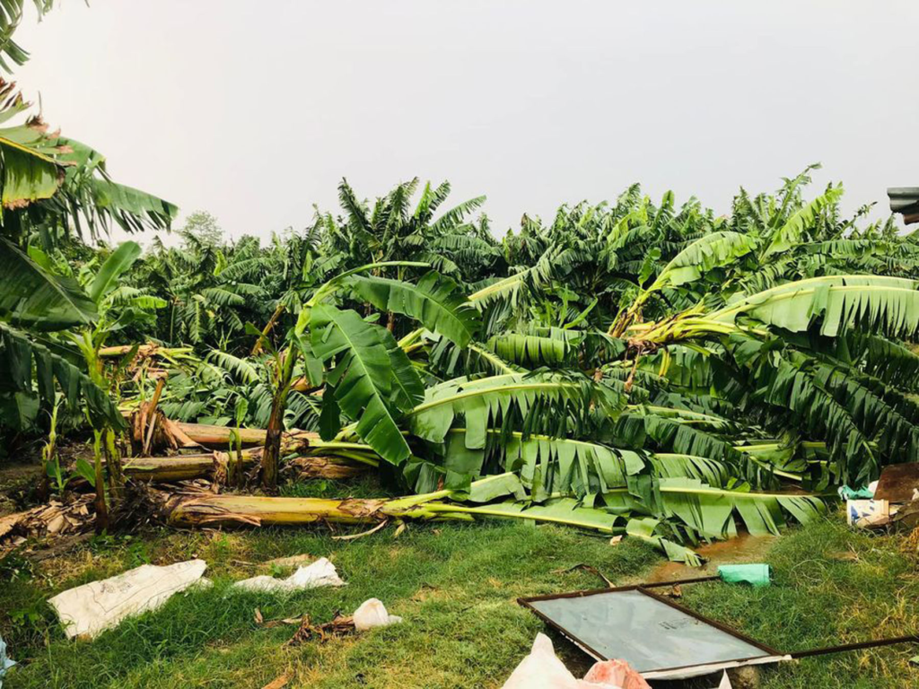 Strong winds inflict damage in Kailali