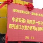 Huaihua becomes first city in Central China to operate international cold chain train