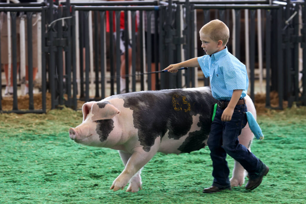 US-CROWDS-DESCEND-ON-THE-ANNUAL-IOWS-STATE-FAIR-IN-DES-MOINES