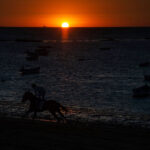 HORSERACING-ESP-SANLUCAR