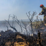 Spain Wildfires