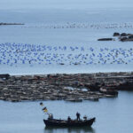 China Taiwan Military Exercises