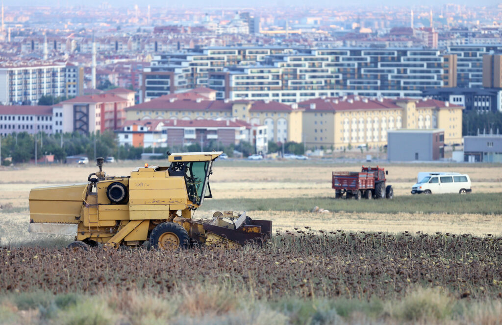 ÜRKIYE-KONYA-SUNFLOWER-HARVEST