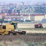 ÜRKIYE-KONYA-SUNFLOWER-HARVEST