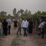 IRAQ-ERBIL-FESTIVAL FOR GRAPES