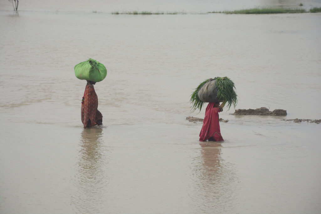 54 killed, 6 injured in floods in Pakistan in 24 hours