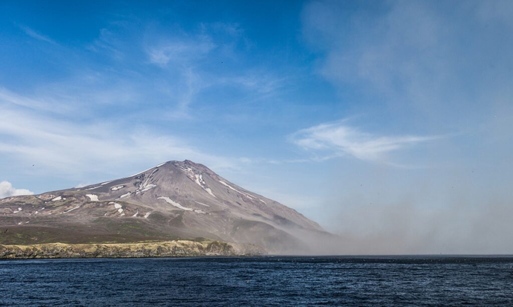 China, Russia share bright cooperation potential in fish processing and infrastructure construction in Kuril Islands: experts