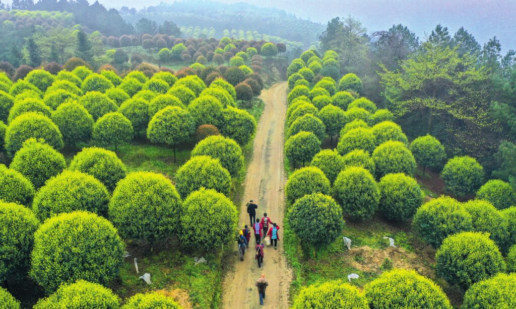 China achieves hard-won results on emissions cut despite challenges, committed to coping with climate change