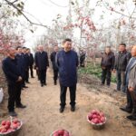 Xi stresses rural revitalization in inspections to Shaanxi, Henan