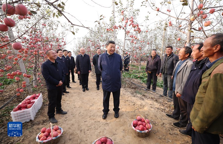 Xi stresses rural revitalization in inspections to Shaanxi, Henan