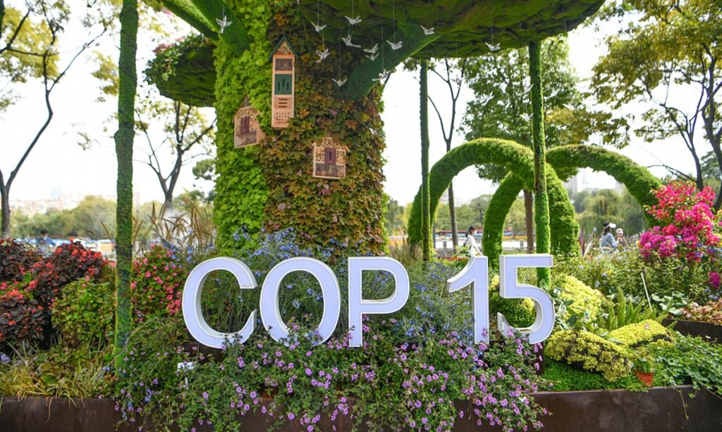 COP15 president is optimistic on securing new global biodiversity framework