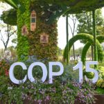 COP15 president is optimistic on securing new global biodiversity framework