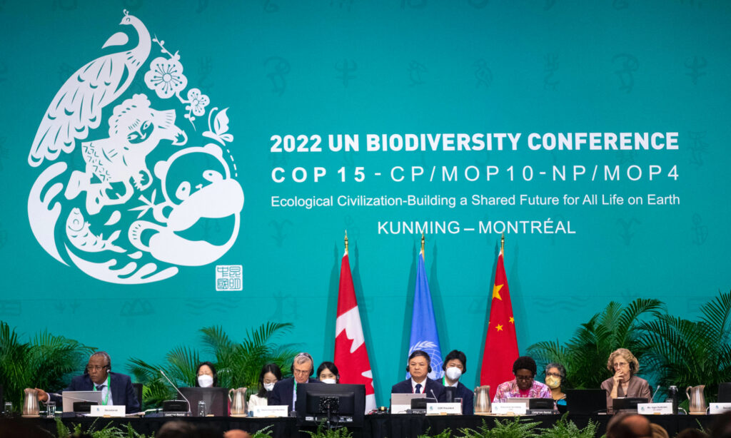 UN biodiversity deal adopted at COP15 at watershed moment