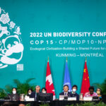 UN biodiversity deal adopted at COP15 at watershed moment