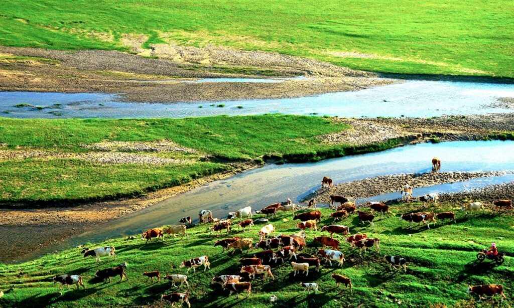 Chinese Dream resonates with historical transformation of desert into an oasis on northern border of China