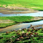 Chinese Dream resonates with historical transformation of desert into an oasis on northern border of China