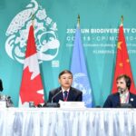 COP15 deal proves sticking to multilateralism works well