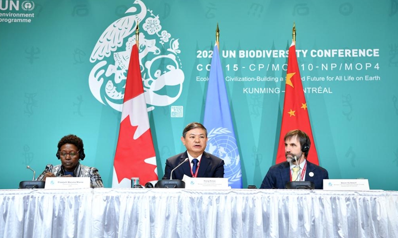 COP15 deal proves sticking to multilateralism works well