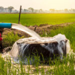 Only 20 percent of the arable land irrigated