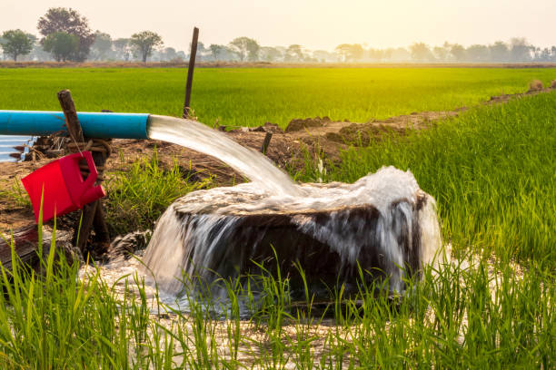 Only 20 percent of the arable land irrigated