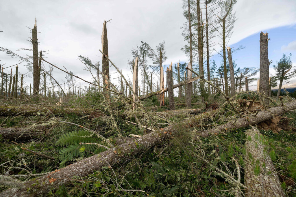 Cyclone-battered New Zealand declares national emergency