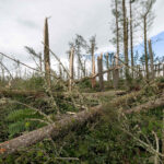 Cyclone-battered New Zealand declares national emergency