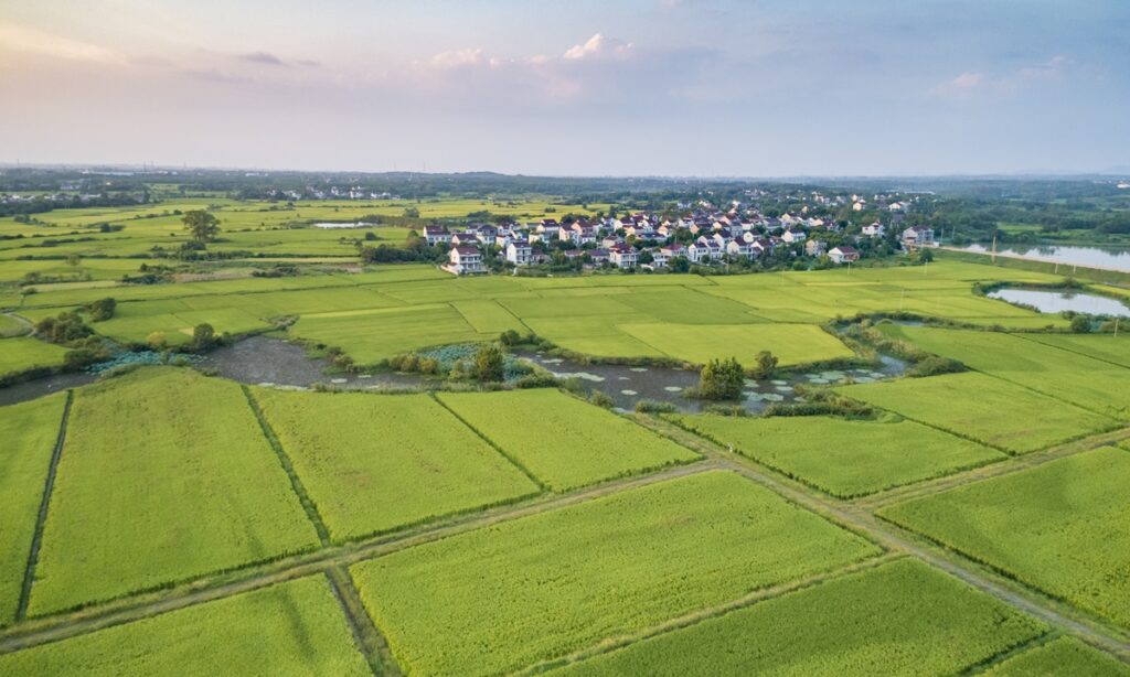 Xi’s words greatly encourage new wave of tech-savvy farmers to dedicate themselves to rural revitalization