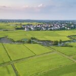 Xi’s words greatly encourage new wave of tech-savvy farmers to dedicate themselves to rural revitalization