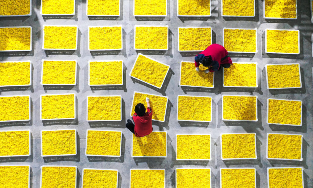 Xi sends greetings to working people nationwide ahead of International Workers’ Day