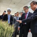 China develops 1,050 irradiation induced-mutant varieties, boosting food security