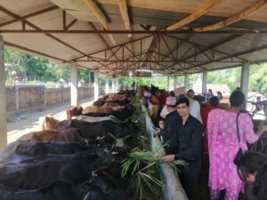 Feature News: Palpa promoting religious tourism through cow conservation