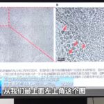 China achieves hematopoietic differentiation of human embryonic stem cells in space for first time