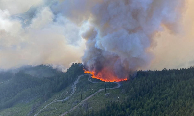 Canadian wildfires have caused astonishing global damage, Chinese scientists warn