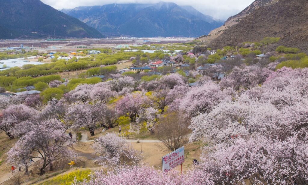 Xi’s footsteps in Xizang region illustrate beautiful new chapter for snowy plateau