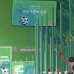 Chengdu in full swing for Summer World University Games