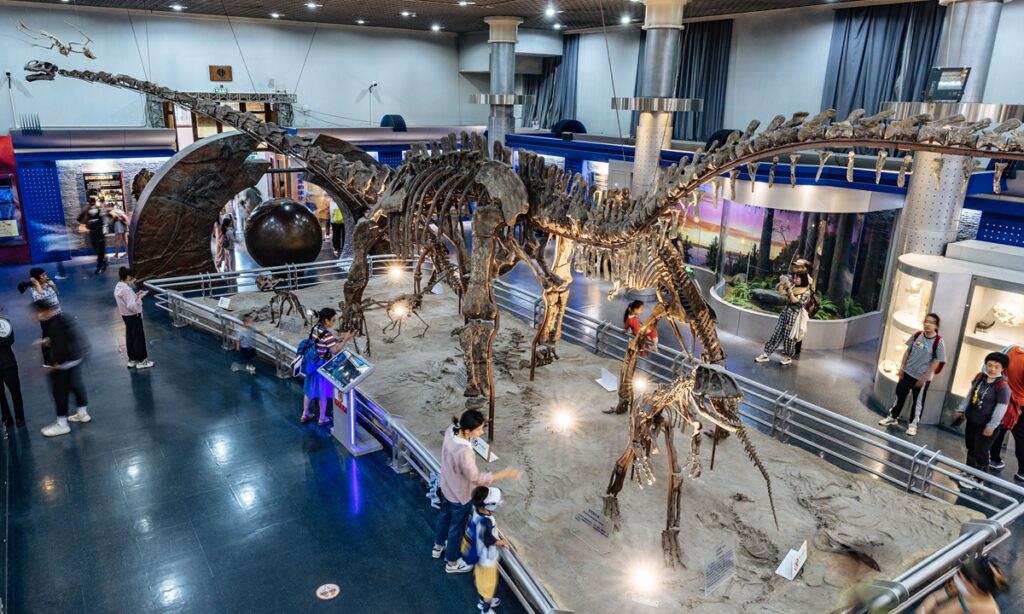 China’s only national-level natural history museum set for ‘smart’ future