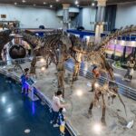 China’s only national-level natural history museum set for ‘smart’ future