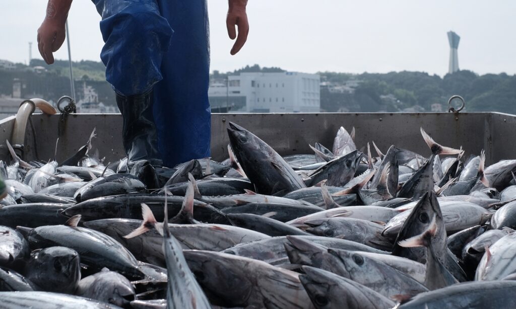 China’s customs ban imports of food from Japan’s Fukushima and nine other regions