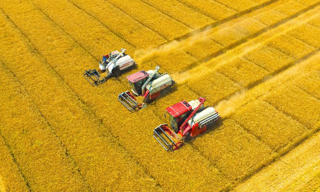 China achieves 146.13 million ton summer grain harvest in 2023