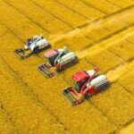 China achieves 146.13 million ton summer grain harvest in 2023