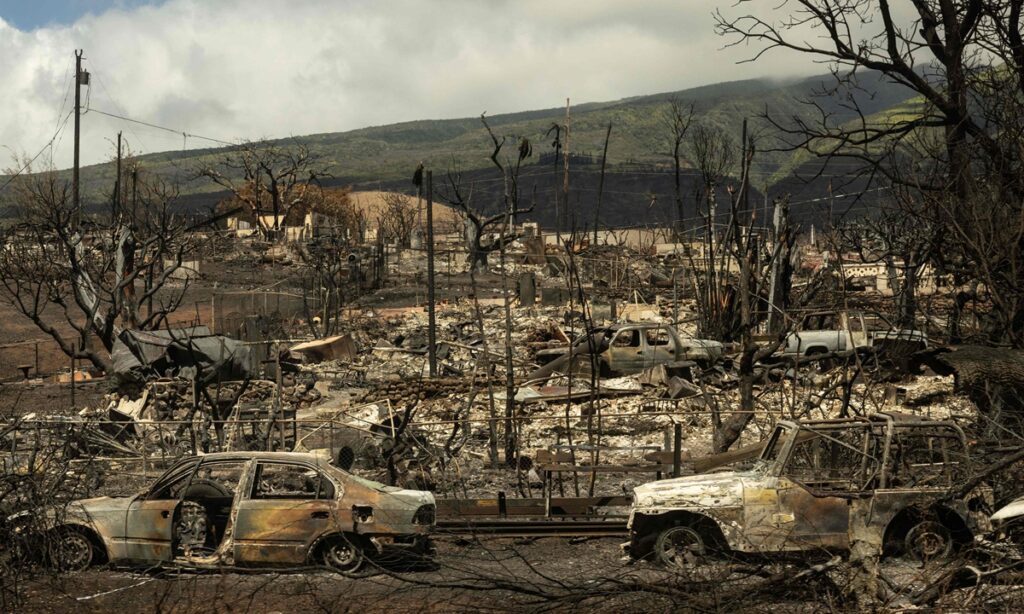 Poor response to Hawaii wildfires make US ‘unlike a developed country’