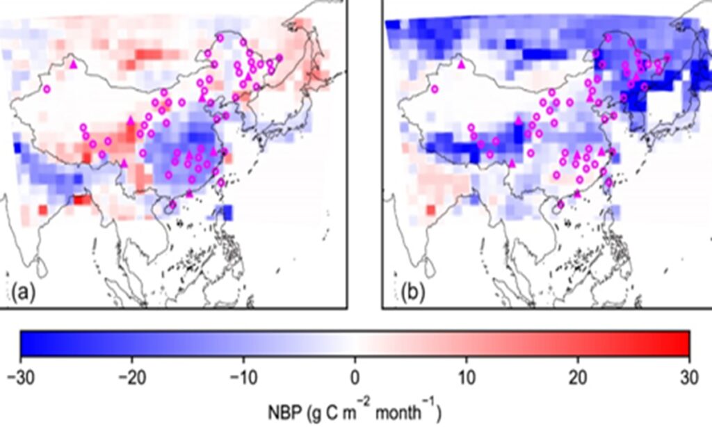 Chinese scientists propose ground station layout plan for atmospheric CO2 concentration observation, essential for achieving China’s net-zero ambitions before 2060