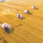 Food security ensures Chinese economic growth momentum