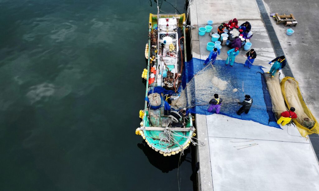 Chinese industry group calls for boycott of sea cucumbers from Japan amid wastewater dumping concern