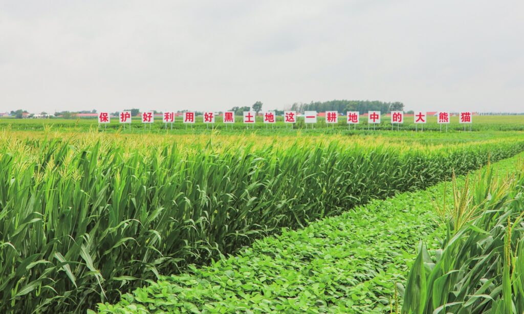 President Xi’s inspections encourage continuous effort in conservation of ‘Gold Corn Belt’ and advancement of high-end manufacturing