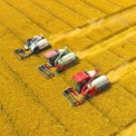 China-Russia grain corridor will stabilize global market