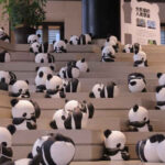 2023 Panda Day celebrations begin with forum on intl cooperation for wildlife protection