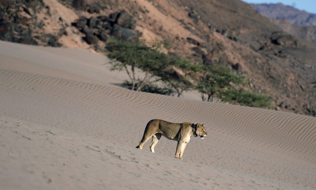 Namibia launches initiative to reward individuals and entities in move to boost tourism